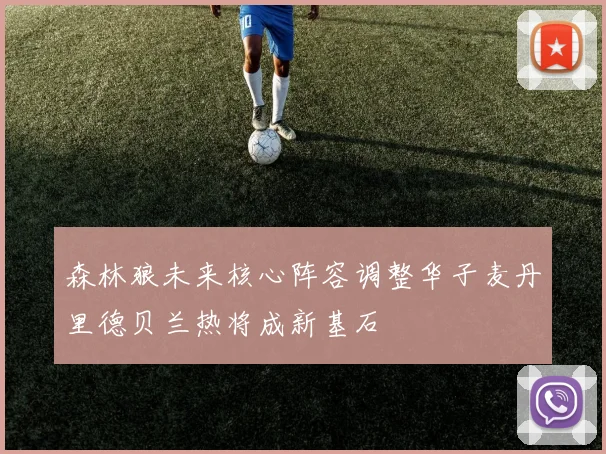 森林狼未来核心阵容调整华子麦丹里德贝兰热将成新基石