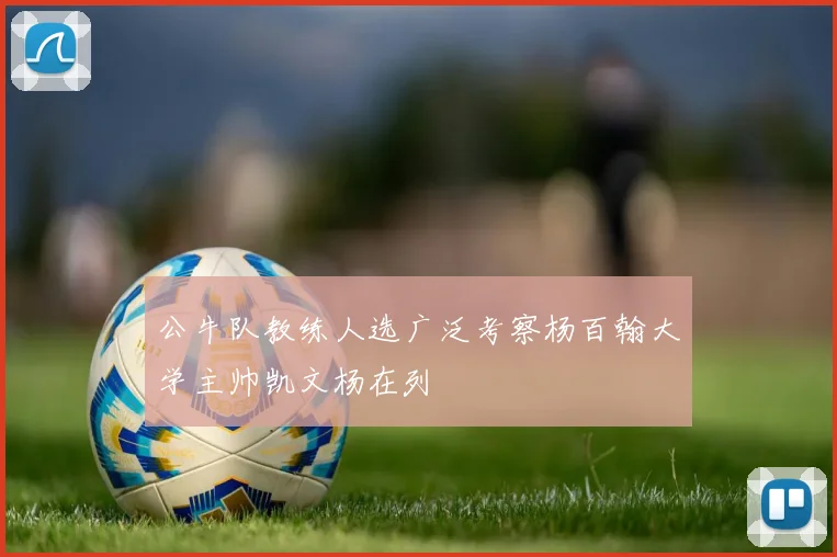 公牛队教练人选广泛考察杨百翰大学主帅凯文杨在列